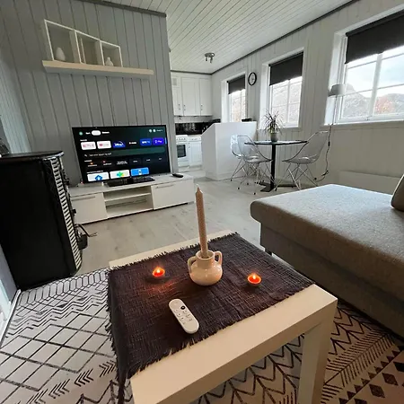 Maaloey Fjord & Mountain Panorama